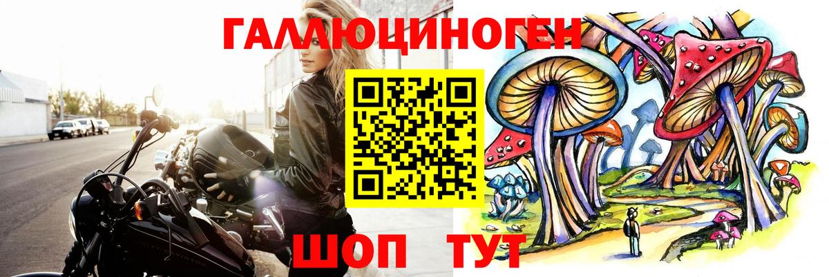 Галлюциногенные грибы Magic Shrooms Артём