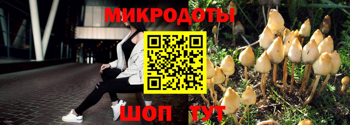 Псилоцибиновые грибы Psilocybe  Вход с VPN  Артём 